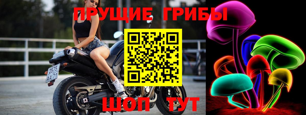 Галлюциногенные грибы мухоморы Славгород
